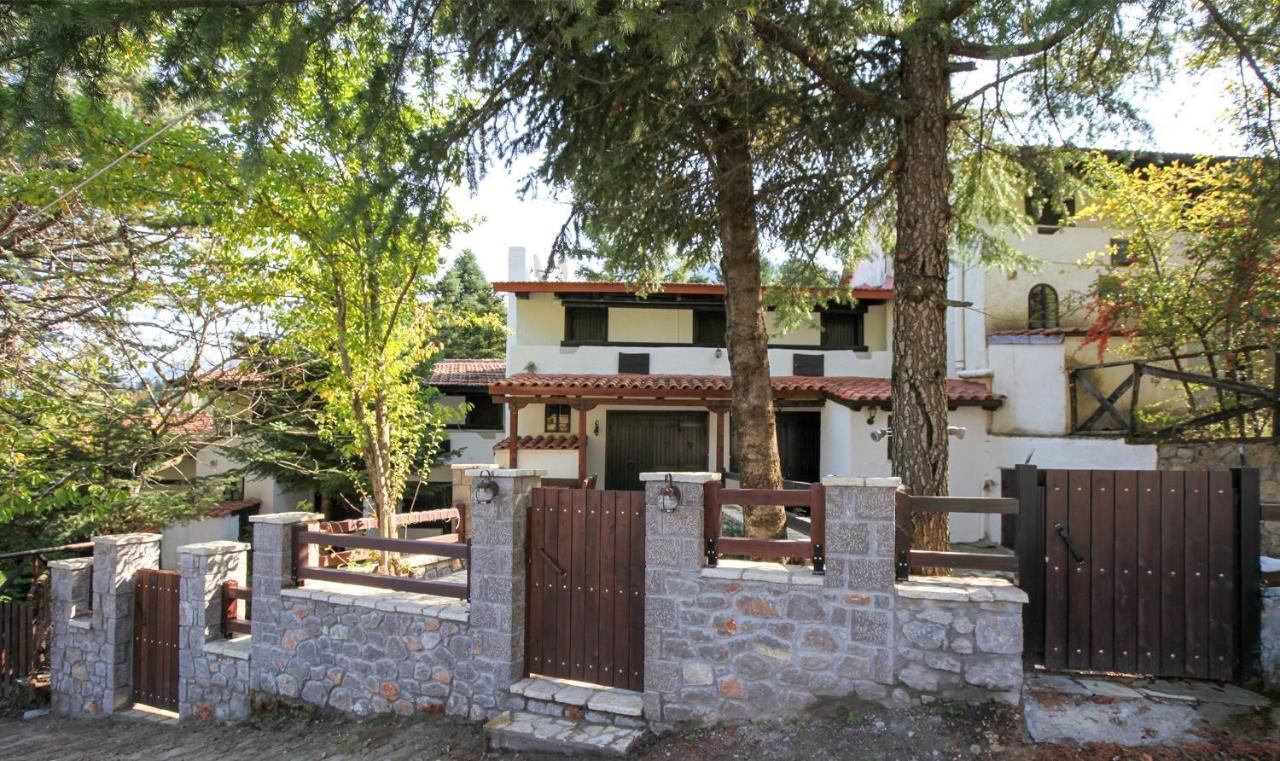 Dandy Villas Agoriani - Chalet Ivoni - Fireplace Eptalofos Bagian luar foto